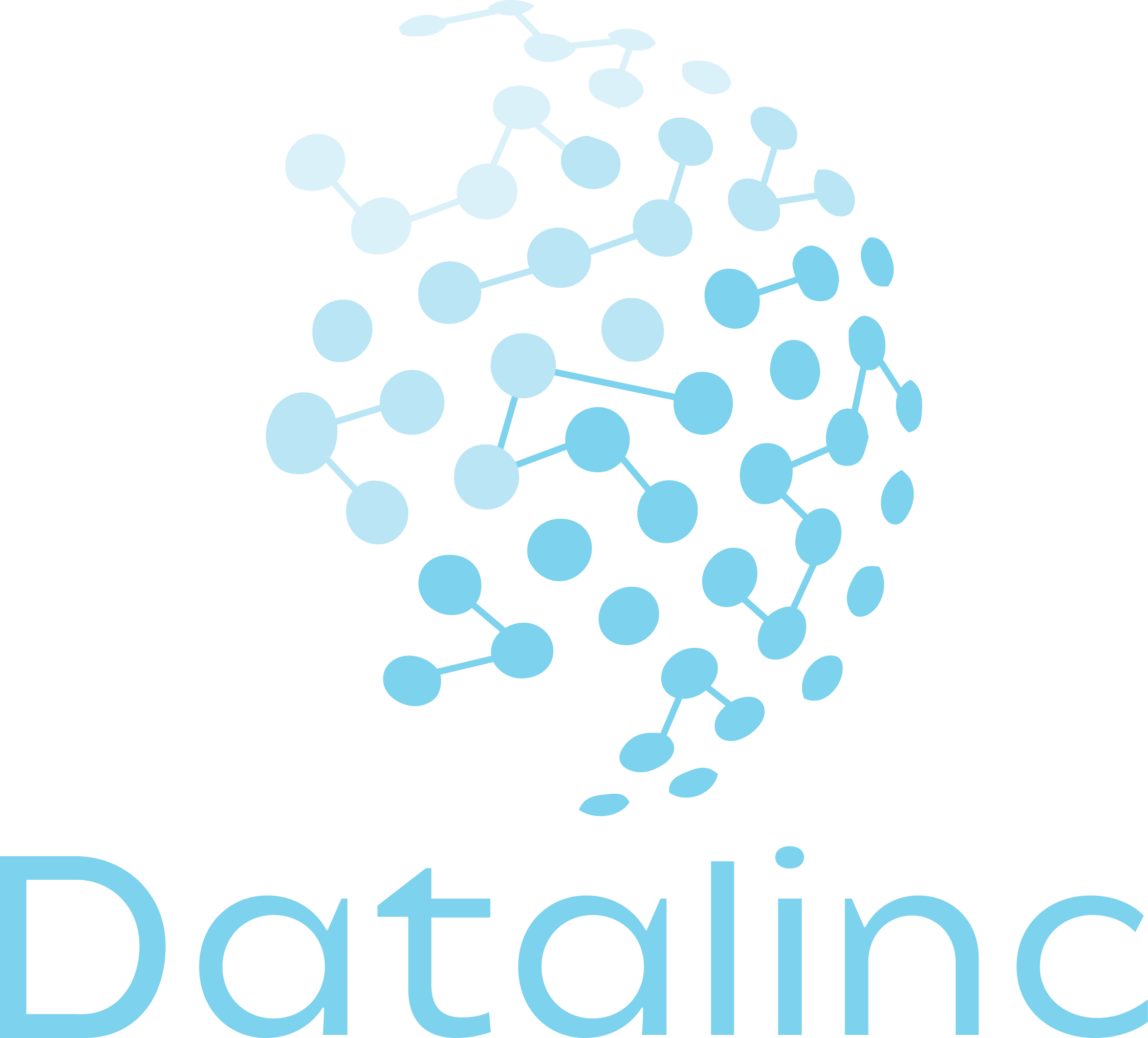 Datalinc Logo
